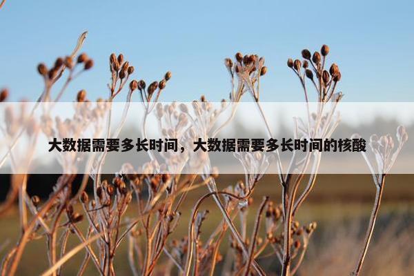 大数据需要多长时间,大数据需要多长时间的核酸 大数据需要多长时间,大数据需要多长时间的核酸