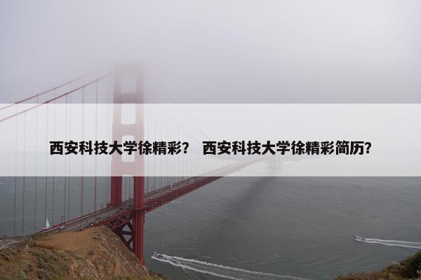 西安科技大学徐精彩？ 西安科技大学徐精彩简历？