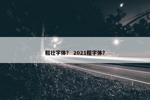 粗壮字体？ 2021粗字体？