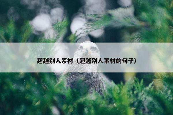 超越别人素材(超越别人素材的句子) 超越别人素材(超越别人素材的句子)
