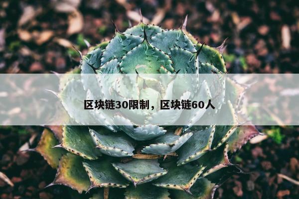 区块链30限制，区块链60人
