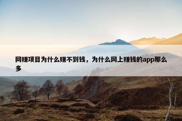 网赚项目为什么赚不到钱，为什么网上赚钱的app那么多