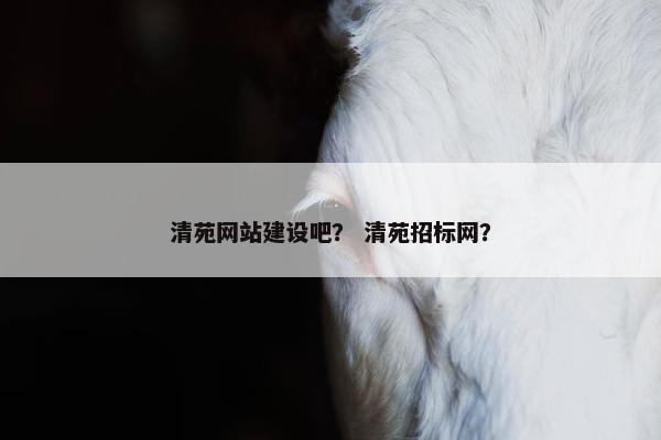清苑网站建设吧？ 清苑招标网？