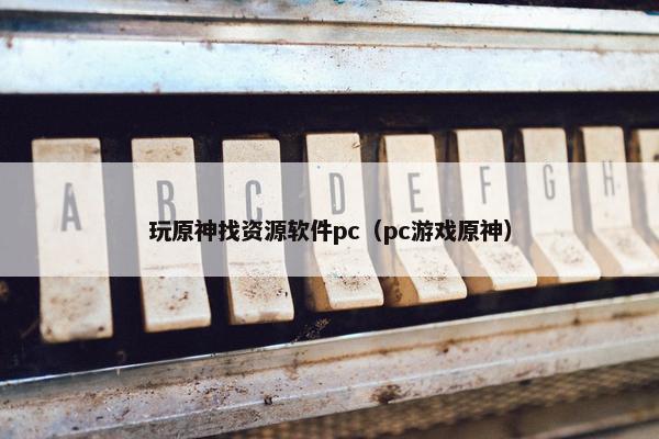 玩原神找资源软件pc（pc游戏原神）