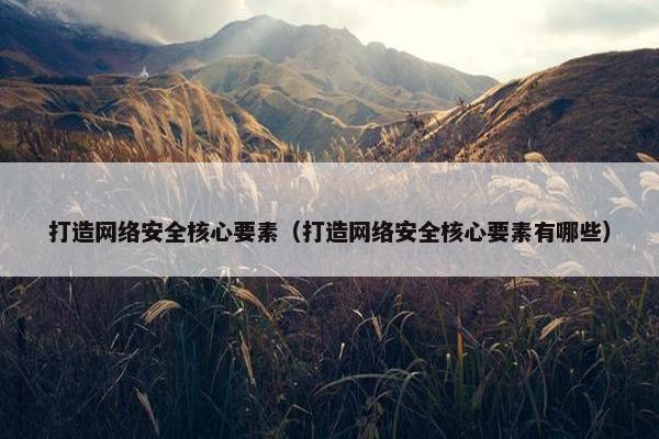 打造网络安全核心要素（打造网络安全核心要素有哪些）