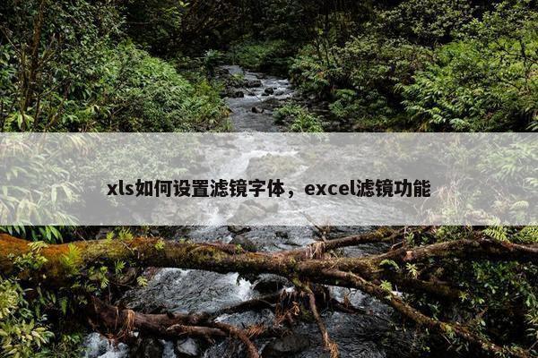 xls如何设置滤镜字体，excel滤镜功能