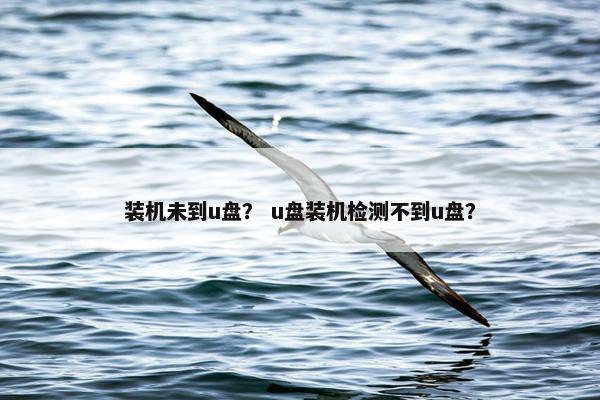 装机未到u盘？ u盘装机检测不到u盘？