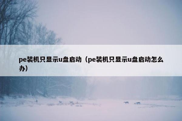 pe装机只显示u盘启动（pe装机只显示u盘启动怎么办）