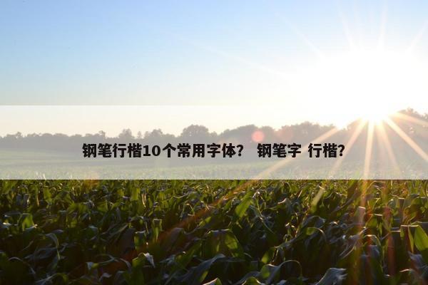 钢笔行楷10个常用字体？ 钢笔字 行楷？