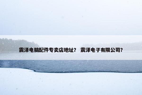 震泽电脑配件专卖店地址？ 震泽电子有限公司？