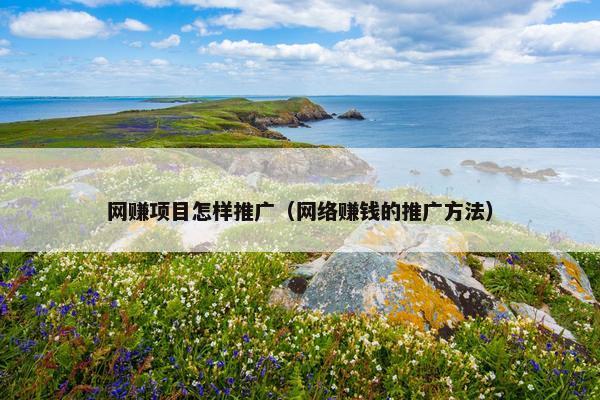 网赚项目怎样推广（网络赚钱的推广方法）