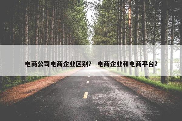 电商公司电商企业区别？ 电商企业和电商平台？