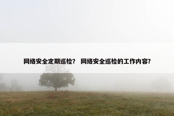 网络安全定期巡检？ 网络安全巡检的工作内容？
