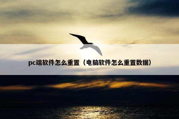 pc端软件怎么重置（电脑软件怎么重置数据）