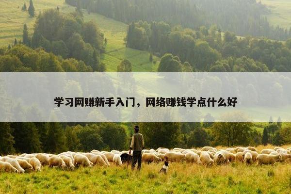 学习网赚新手入门，网络赚钱学点什么好