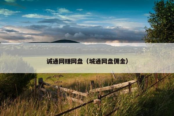 诚通网赚网盘（城通网盘佣金）