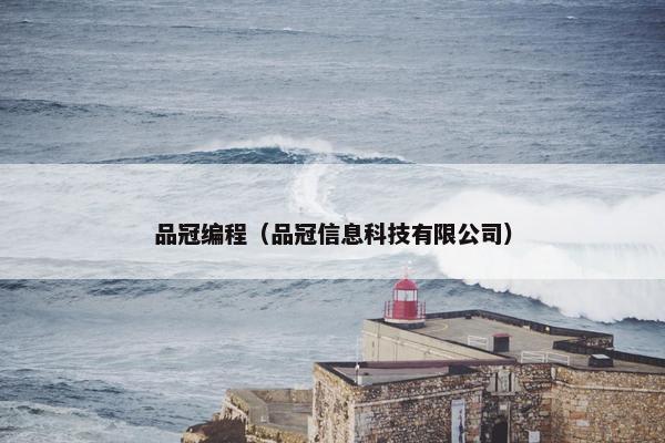 品冠编程（品冠信息科技有限公司）
