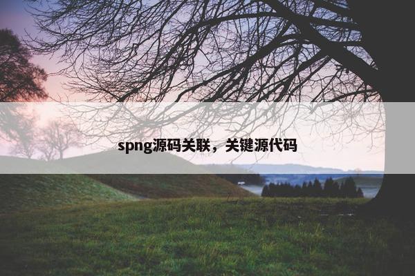 spng源码关联，关键源代码