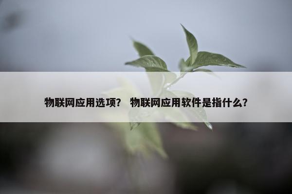 物联网应用选项？ 物联网应用软件是指什么？