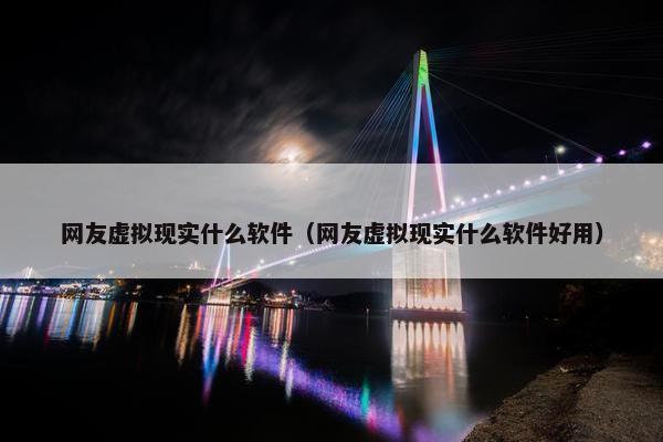 网友虚拟现实什么软件（网友虚拟现实什么软件好用）