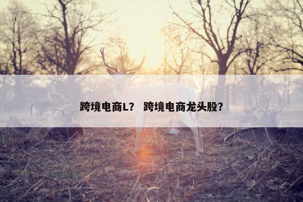 跨境电商L？ 跨境电商龙头股？