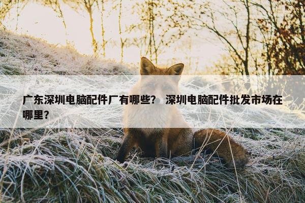 广东深圳电脑配件厂有哪些? 深圳电脑配件批发市场在哪里? 广东深圳电脑配件厂有哪些? 深圳电脑配件批发市场在哪里?