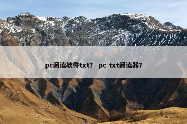 pc阅读软件txt？ pc txt阅读器？