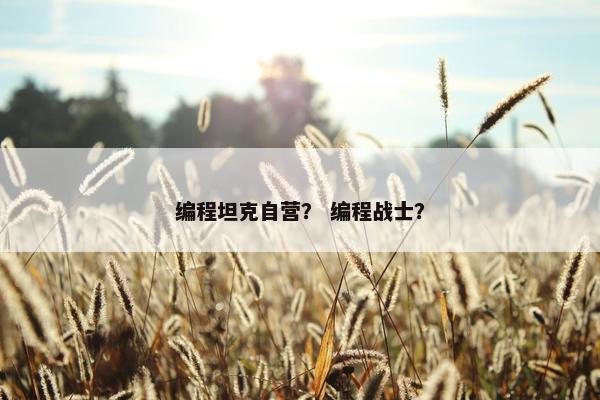 编程坦克自营？ 编程战士？