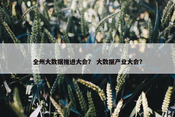 全州大数据推进大会？ 大数据产业大会？