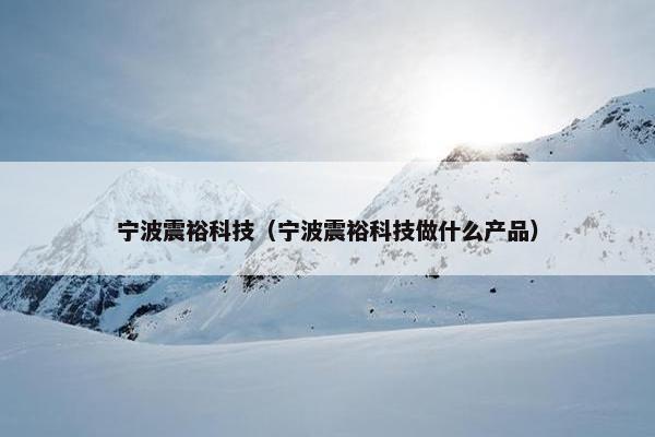 宁波震裕科技（宁波震裕科技做什么产品）
