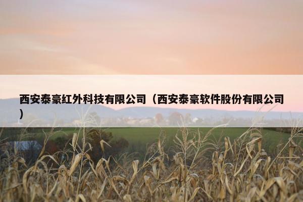 西安泰豪红外科技有限公司（西安泰豪软件股份有限公司）