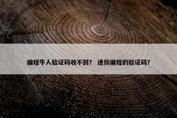 编程牛人验证码收不到？ 迷你编程的验证码？
