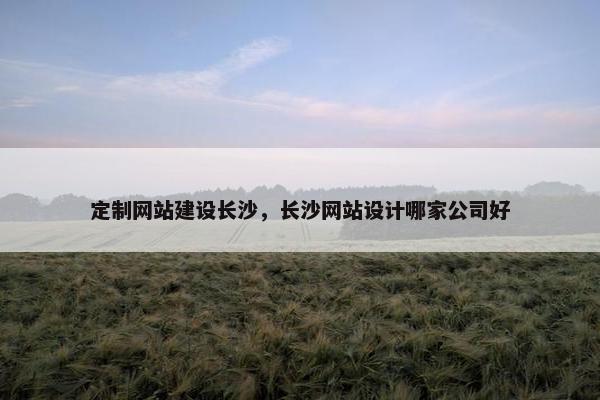 定制网站建设长沙，长沙网站设计哪家公司好