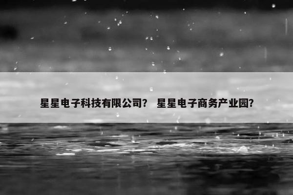 星星电子科技有限公司？ 星星电子商务产业园？