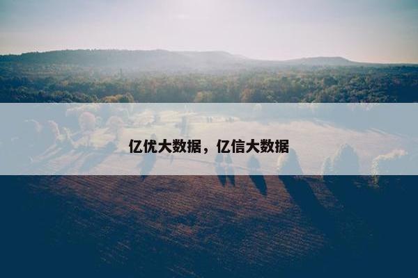 亿优大数据，亿信大数据