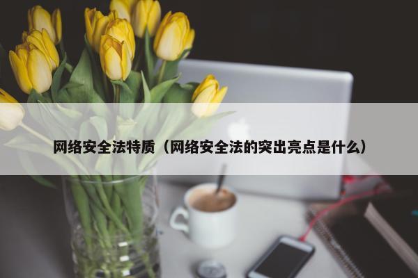 网络安全法特质（网络安全法的突出亮点是什么）