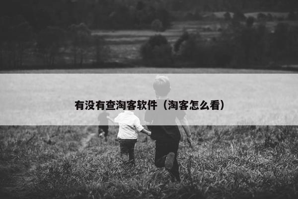 有没有查淘客软件（淘客怎么看）