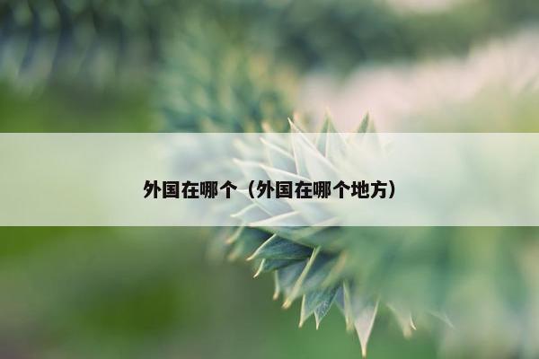 外国在哪个（外国在哪个地方）