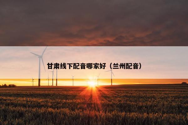 甘肃线下配音哪家好（兰州配音）