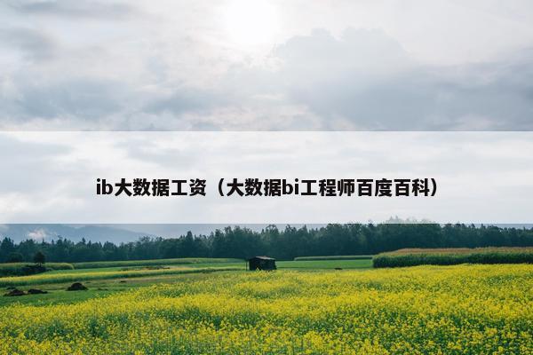 ib大数据工资（大数据bi工程师百度百科）
