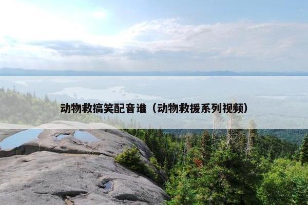 动物救搞笑配音谁（动物救援系列视频）