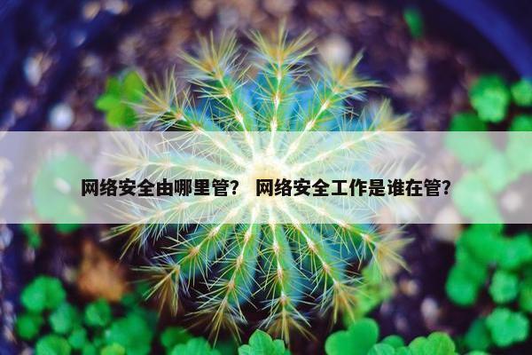 网络安全由哪里管？ 网络安全工作是谁在管？