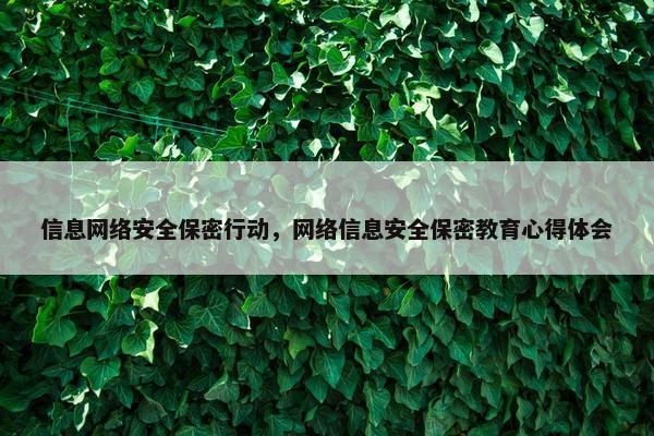 信息网络安全保密行动，网络信息安全保密教育心得体会