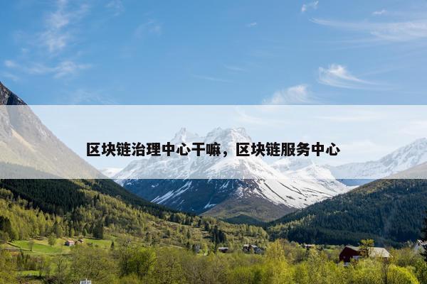 区块链治理中心干嘛，区块链服务中心