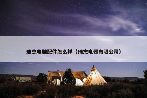 瑞杰电脑配件怎么样（瑞杰电器有限公司）