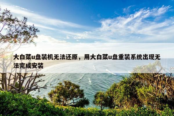 大白菜u盘装机无法还原,用大白菜u盘重装系统出现无法完成安装 大白菜u盘装机无法还原,用大白菜u盘重装系统出现无法完成安装