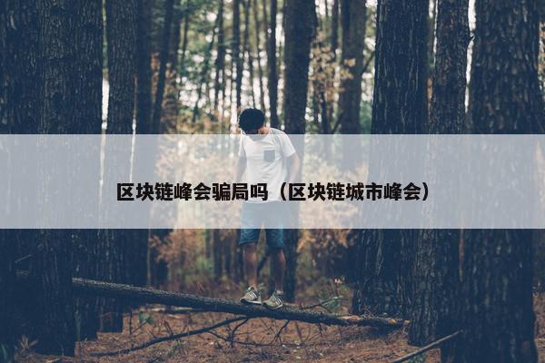 区块链峰会骗局吗（区块链城市峰会）