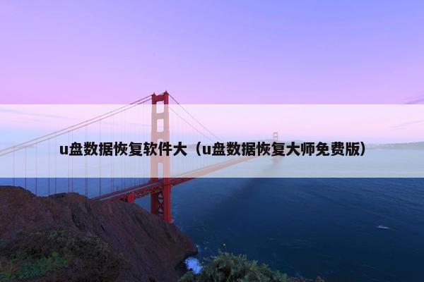 u盘数据恢复软件大（u盘数据恢复大师免费版）