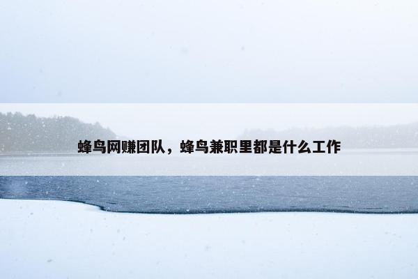 蜂鸟网赚团队，蜂鸟兼职里都是什么工作