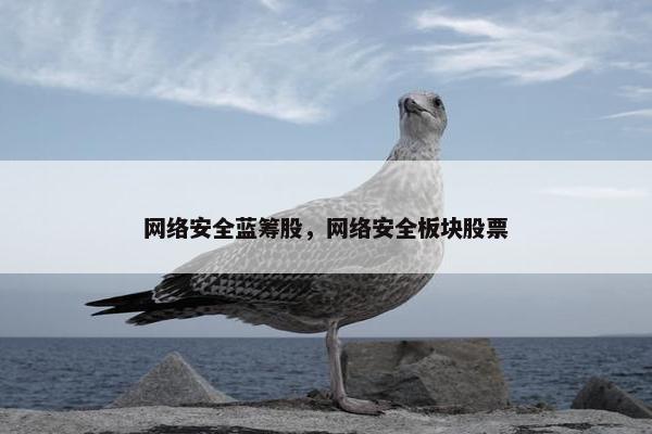 网络安全蓝筹股，网络安全板块股票